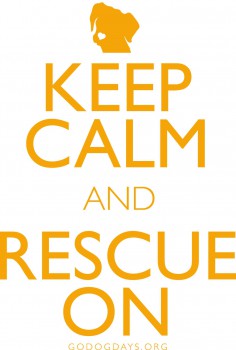 KEEP CALM and RESCUE ON T-Shirt