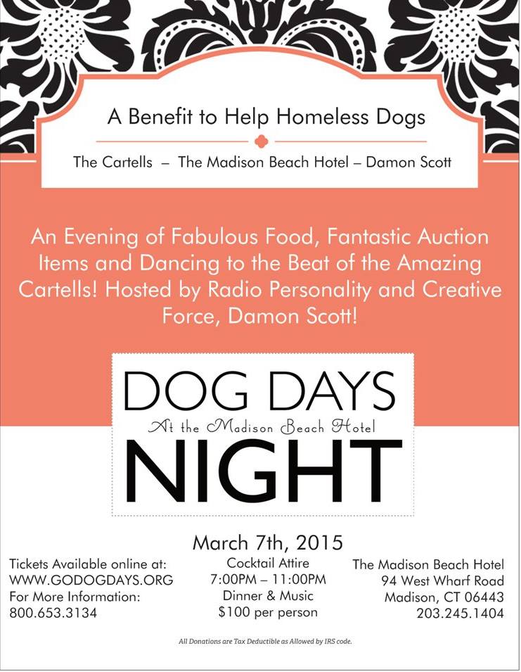 A Benefit for Homeless Dogs