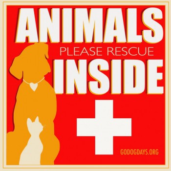 Window Cling - "Animals Inside"