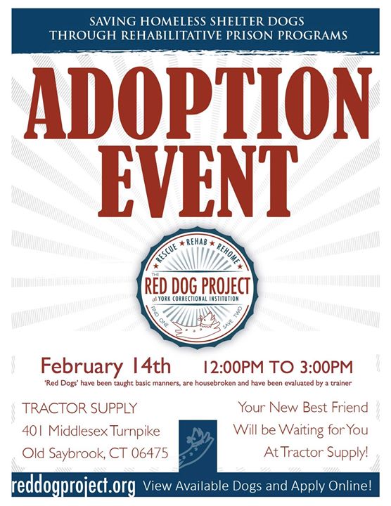 Red Dog Adoption Event