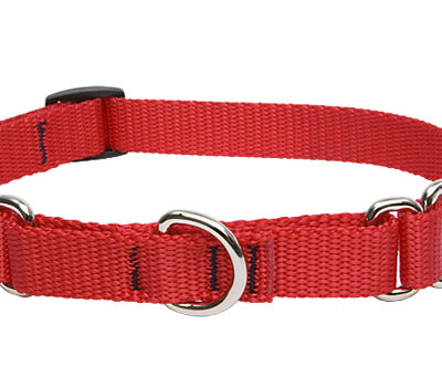 Lupine Martingale