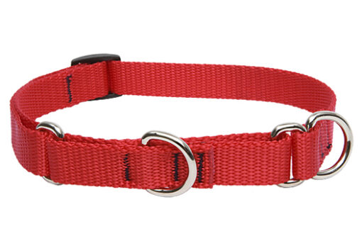 Lupine Martingale
