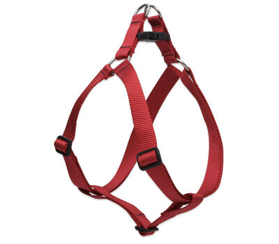 Lupine Harness