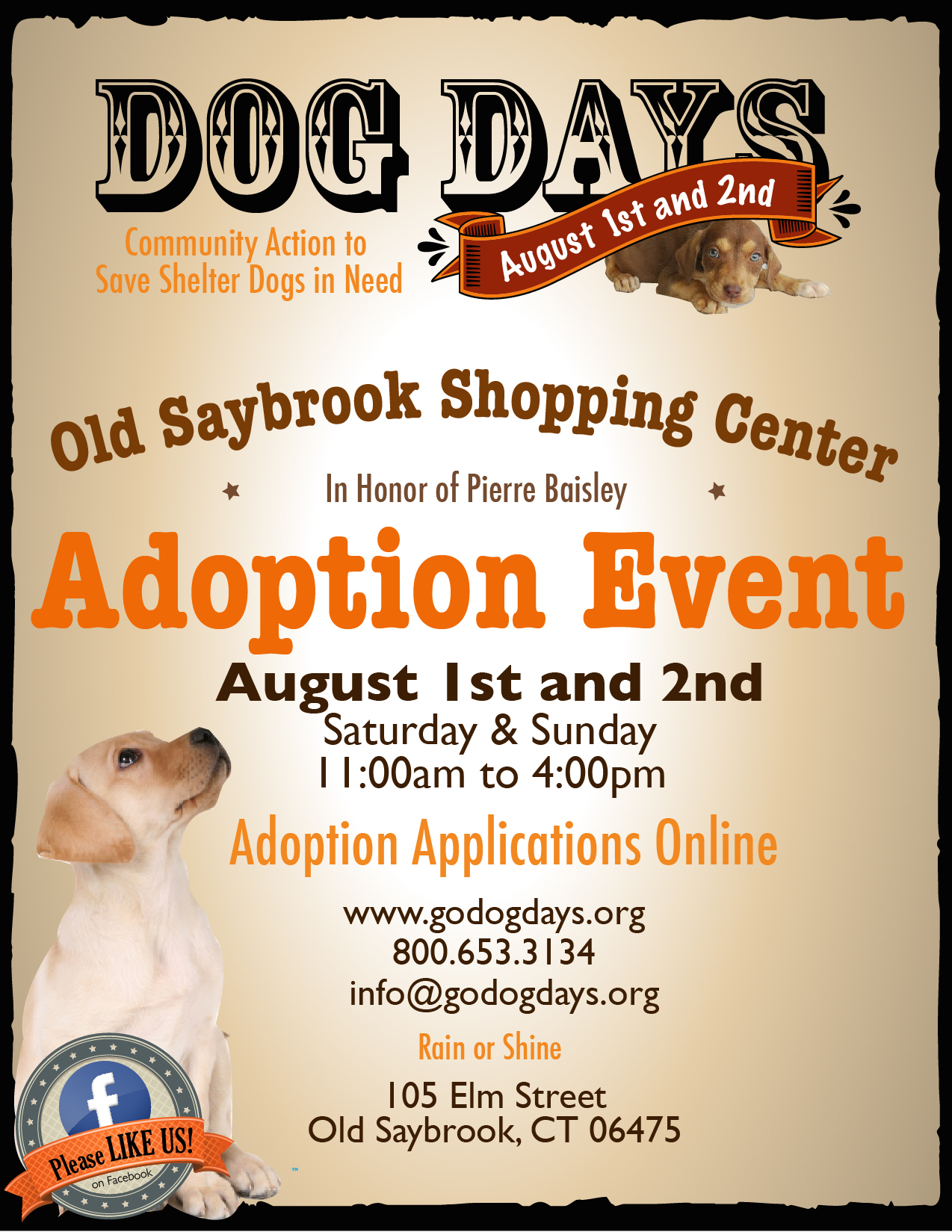 DOG DAYS ADOPTION EVENT – OLD SAYBROOK