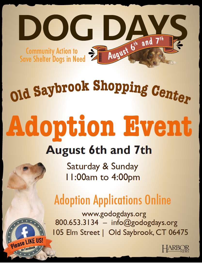 Dog Days Event August 6th and 7th in Old Saybrook!