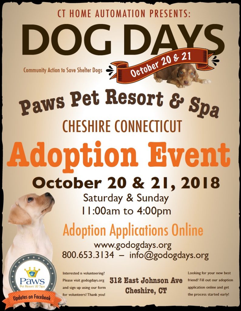 Dog Adoption Events In Ct